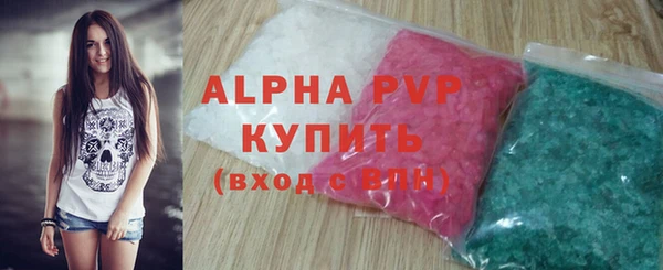 стафф Осинники