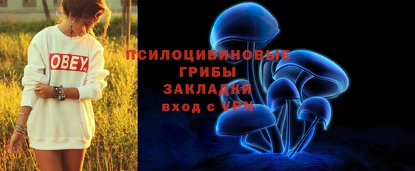 бошки Осташков
