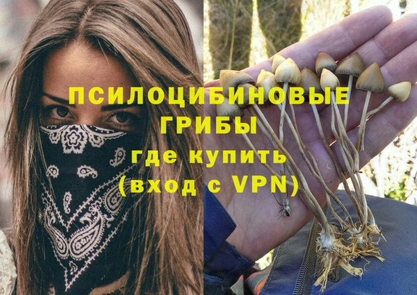 бошки Осташков