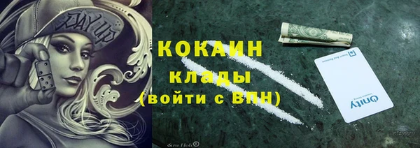 стафф Осинники