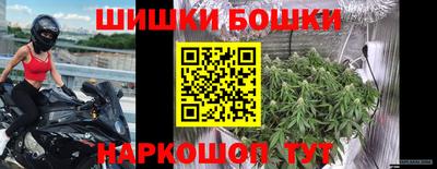 хмурый Бийск