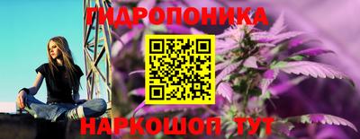 мяу мяу мука Бузулук