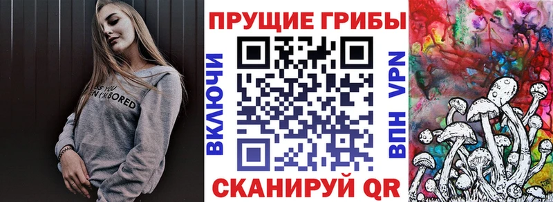 хочу   Долгопрудный  KRAKEN ONION  Псилоцибиновые грибы Cubensis 