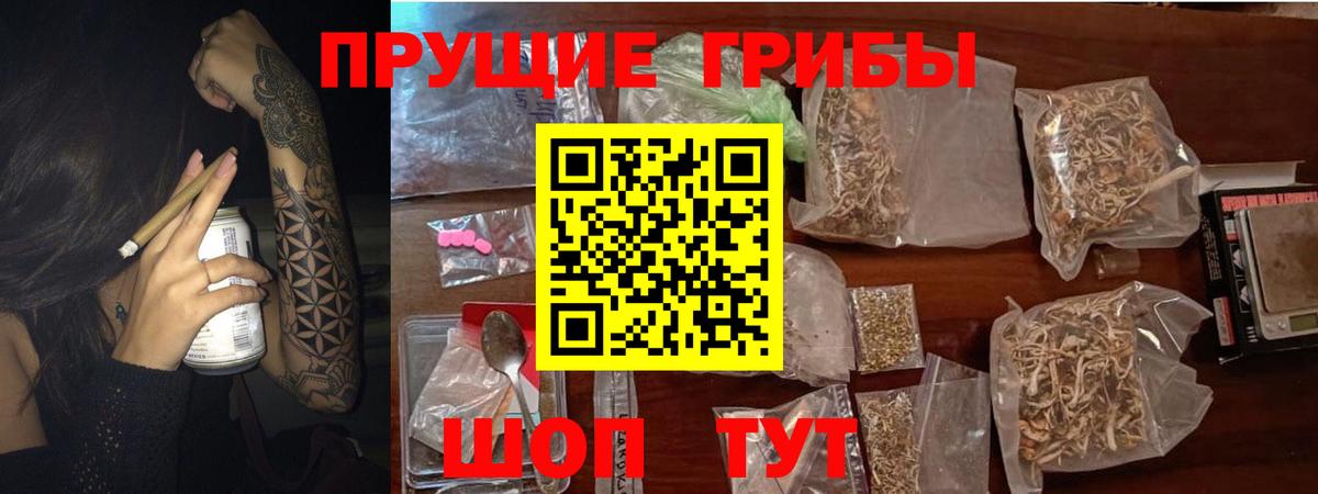 Псилоцибиновые грибы прущие грибы Долгопрудный