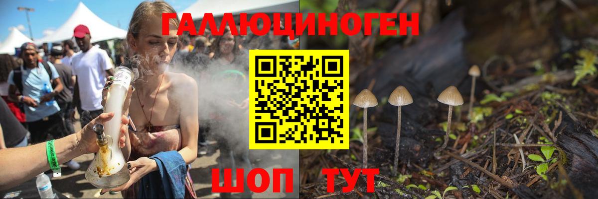 Галлюциногенные грибы Magic Shrooms Долгопрудный